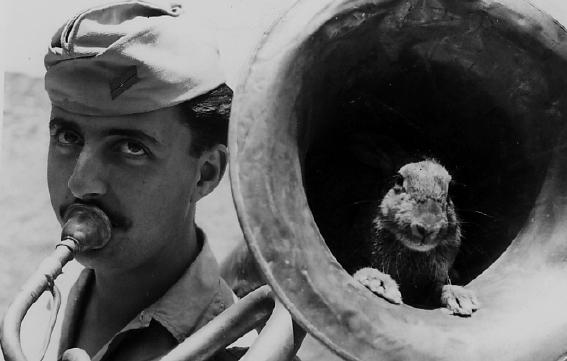 Deux souvenirs d'un Noël pendant la guerre d'Algérie