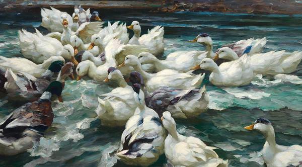 Mercredi - Alexander Koester, le peintre des canards