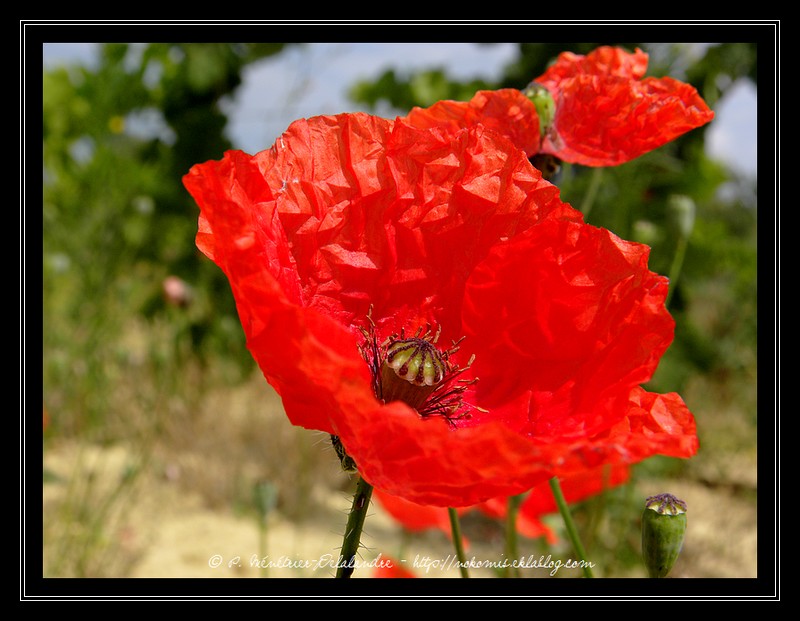 Ombres et lumières sur blanc et noir...