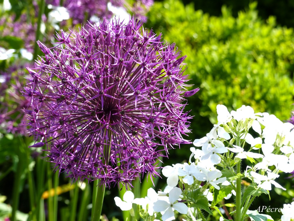 Faune et Flore au Jardin des Plantes