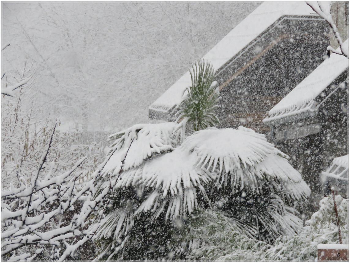 UN TEMPS DE SAISON JANVIER 23
