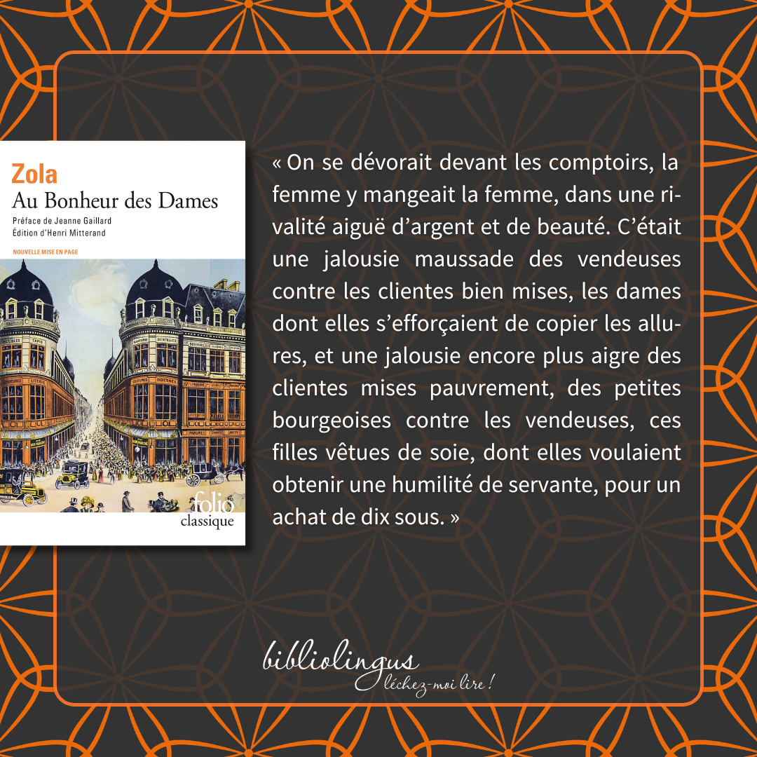 au bonheur des dames zola citations bibliolingus