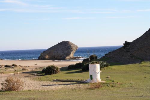 Lundi 20 au dimanche 26 janvier