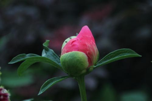 Le printemps est installé