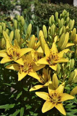 En vrac de tout de rien c'est bientôt l'été 