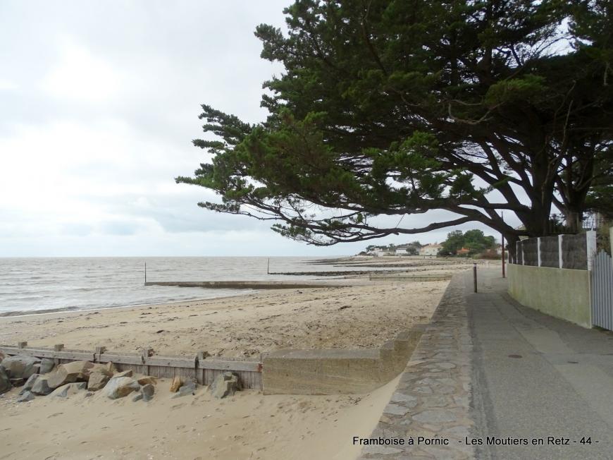 Petite balade sur le littoral aux Moutiers en retz 