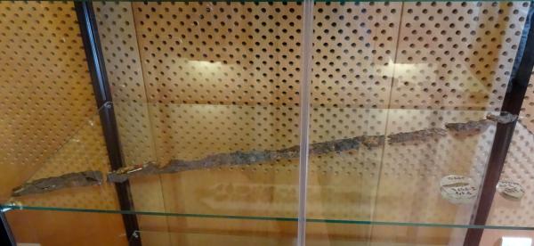 "La Journée de la Science" au Musée du Pays Châtillonnais-Trésor de Vix