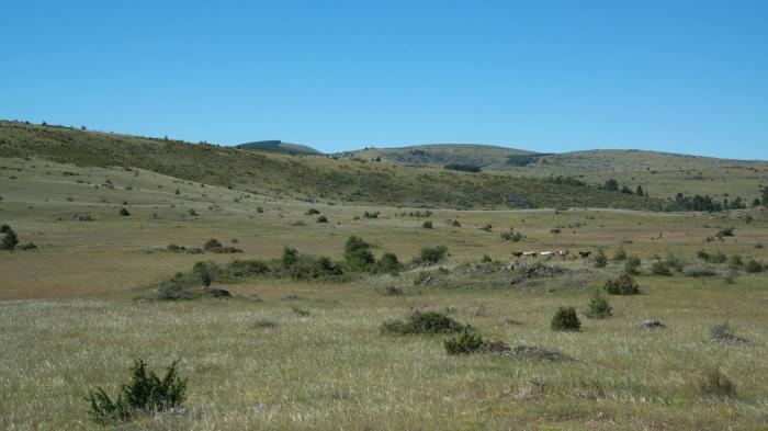 Département de la Lozère