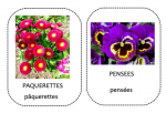 Fleurs du printemps