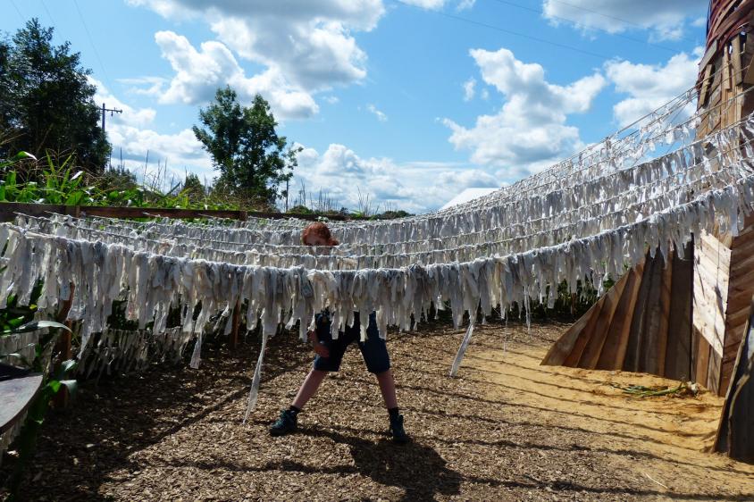 Un cheval, un baobabs....C'est monumental!