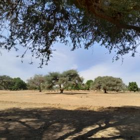 Depuis Nouakchott