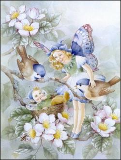 La mésange bleue