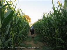 (J4) Monlezun / Maubourguet _ 4 septembre 2013 _ 24km