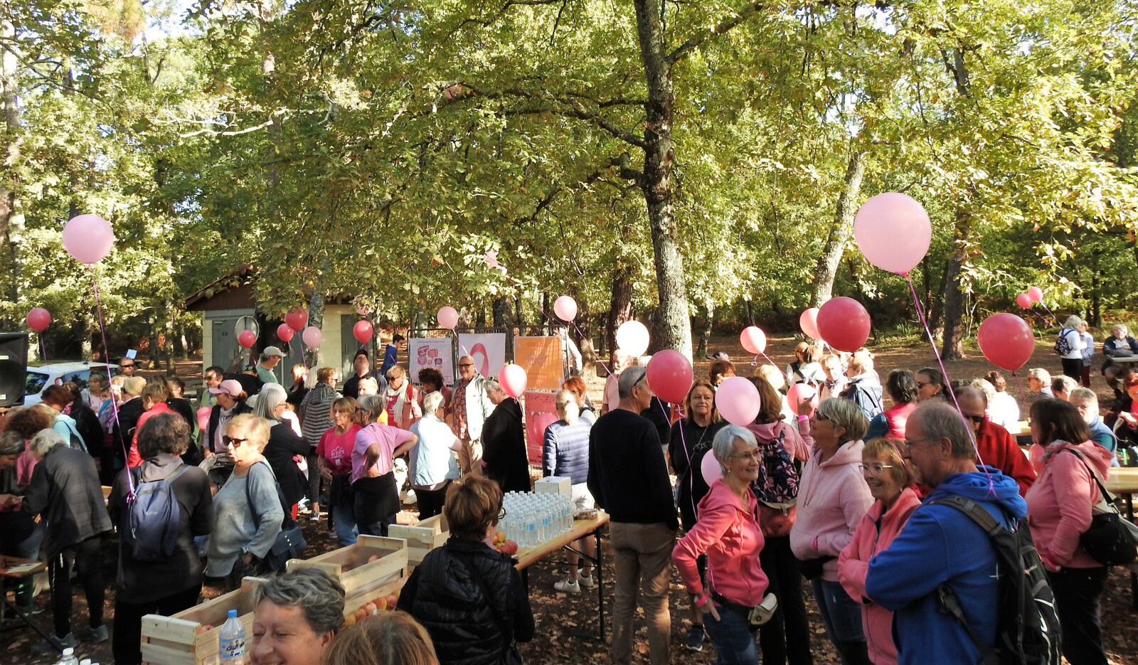 Marcher pour octobre rose...