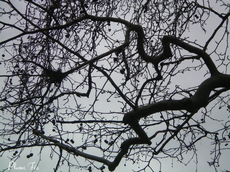 Image004.jpg