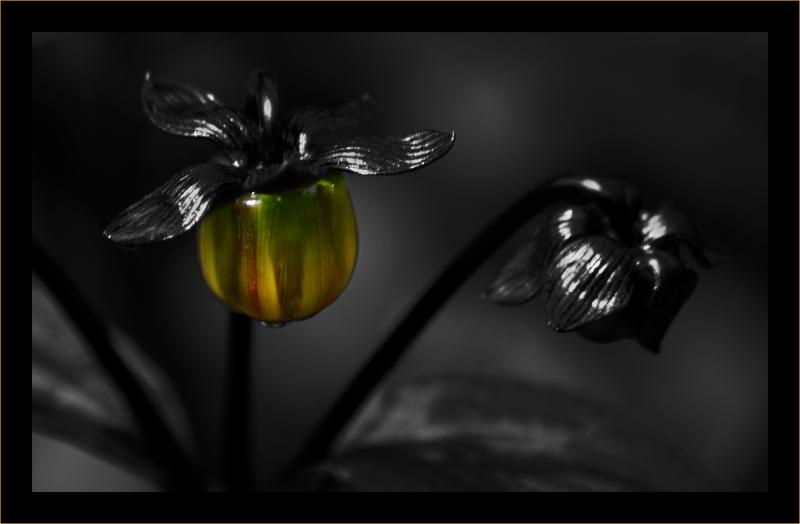 Sous les lumières qui colorent ma vie