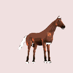 La randonnée du 23 juin à Vieux-la-Romaine