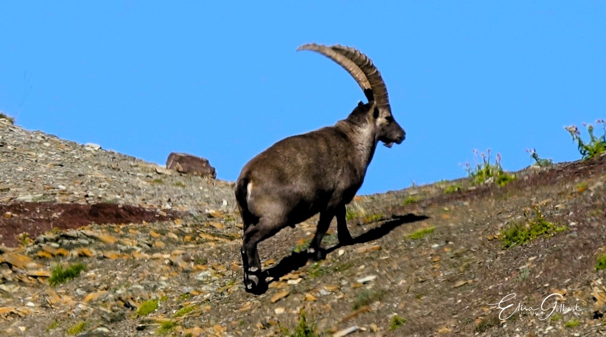Une journée d'Août en montagne