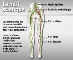 Millepertuis, cent usages