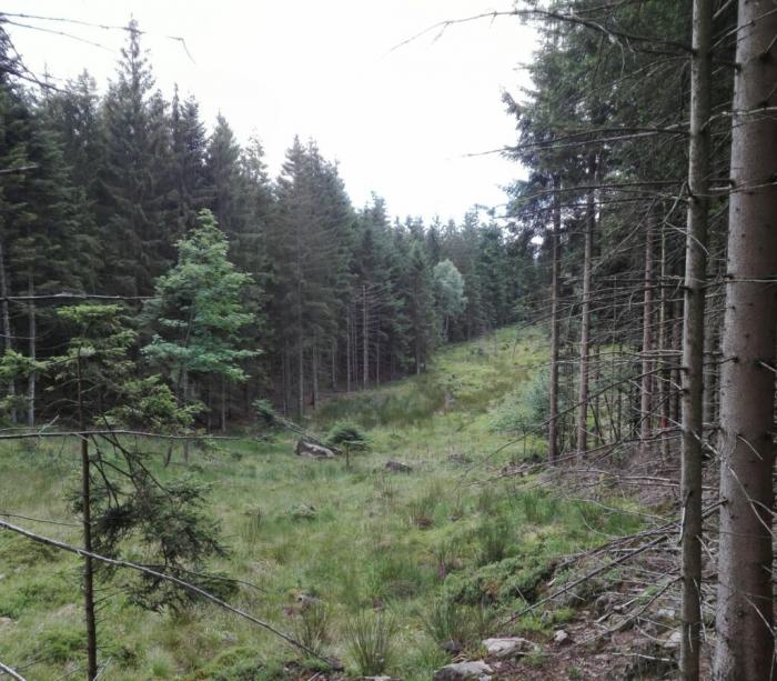 Département des Vosges