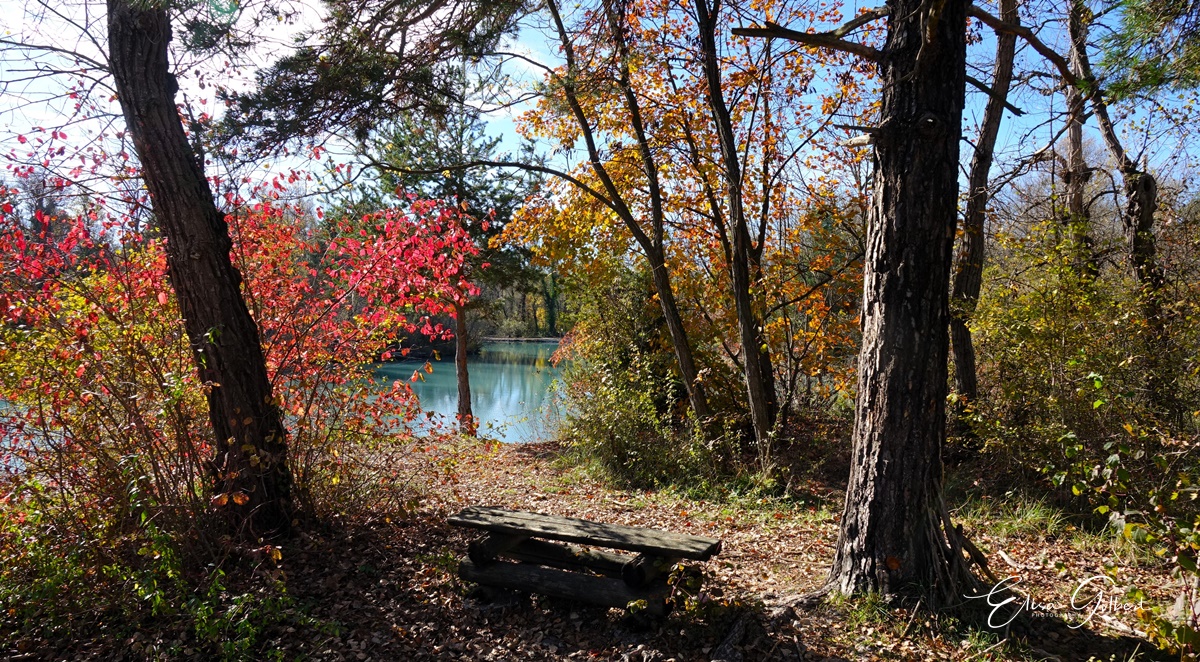 Le lac de Gaubert