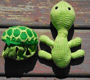 Tortue verte 2