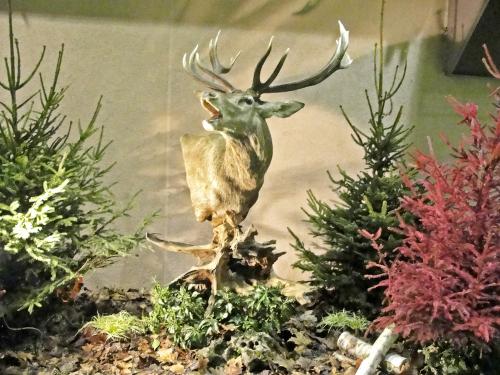 - Le restaurant "Côté Seine" à Montliot