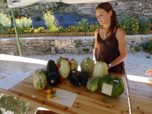 "Le jardinier amateur", l'exposition 2012 des Amis du Canton d'Aignay le Duc