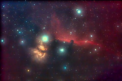 horsehead,orion,luminar4,denoise,william optics,gtf81