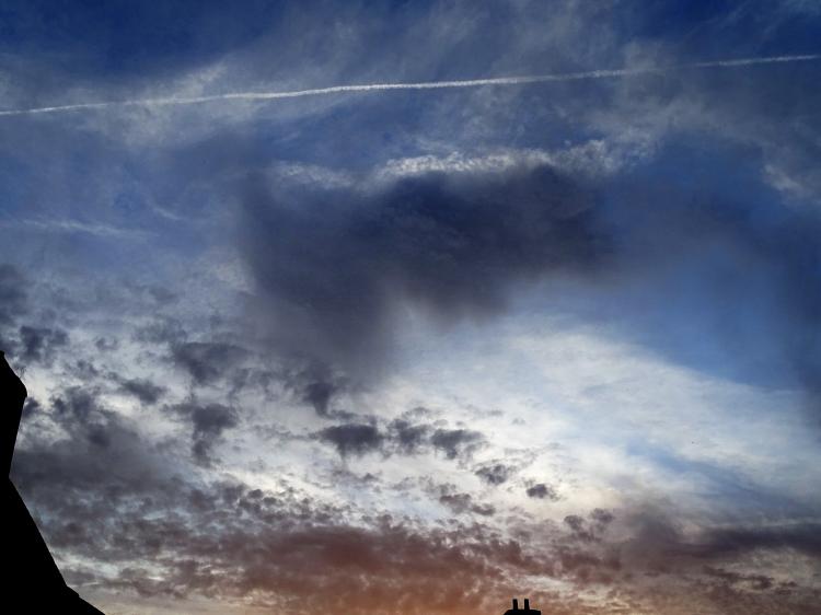 Dimanche c'est chat quand le samedi c'est ciel