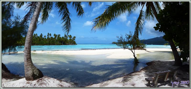 Panorama sur le lagon de Taha'a vu à partir du motu Tautau - Polynésie française