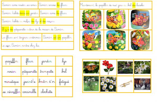 Lecture d'albums simplifiés