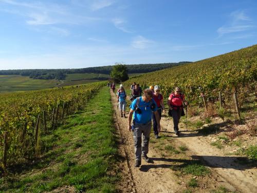"Les Grands Vins de Bourgogne 2" - Dimanche 10 Octobre 2021