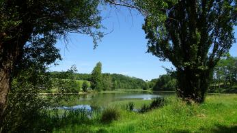 CR / RANDO 15 - RIONS - Lac de Laromet