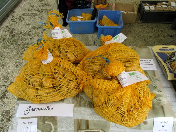 Un marché gourmand et des jeux dans la cour d'honneur du Musée du Pays Châtillonnais-Trésor de Vix
