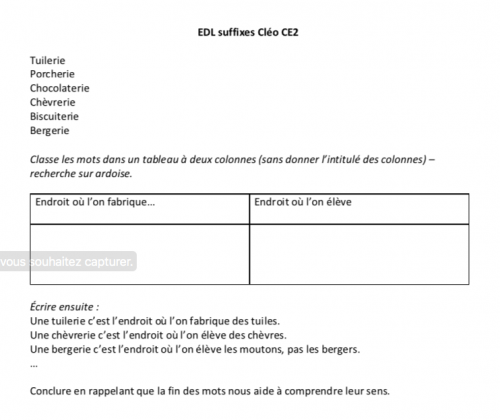 Séance de découverte Cléo sur les suffixes CE2.
