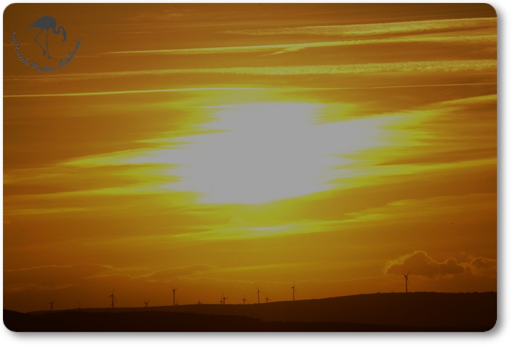 Coucher du soleil sur Carnon...
