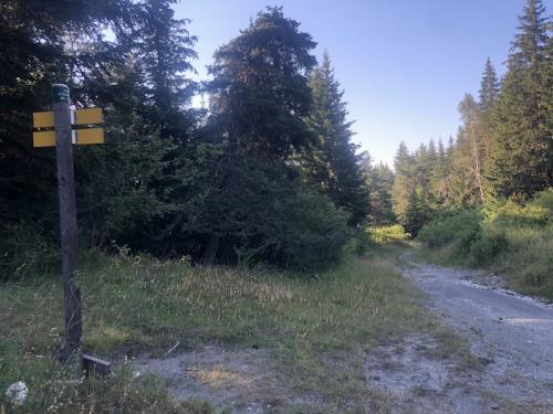 Les Crêtes du Fanget (Seyne - Auzet)