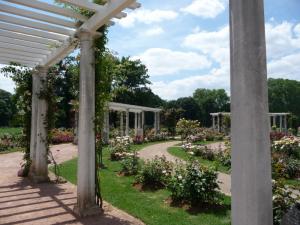 Un dimanche au parc  ... 