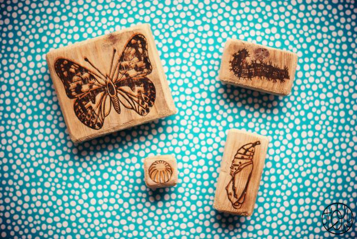 7 petits bonheurs par semaine - Mars 2016