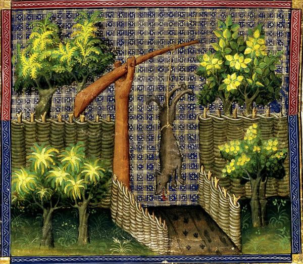 "La forêt Bourguignonne à la fin du Moyen-Âge", une conférence de Corinne Beck pour la Société Archéologique et Historique du Châtillonnais
