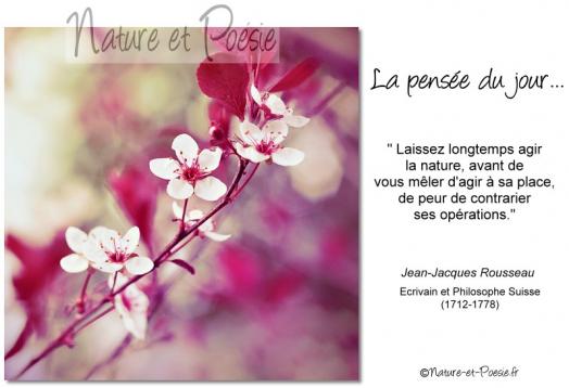 la nature 2