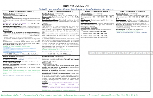 MHM CE2 - Détails du module 11