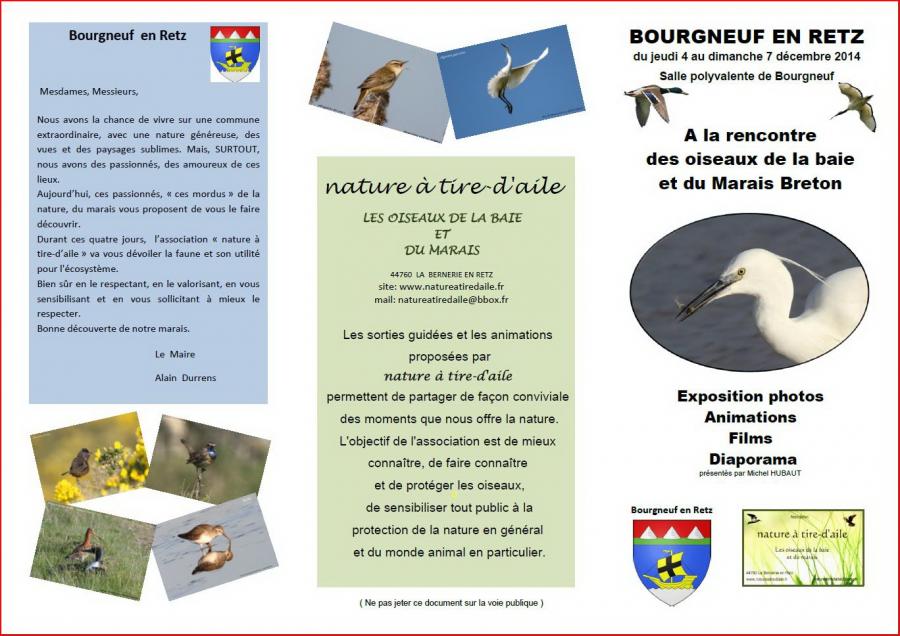 Oiseaux des marais et du littoral 