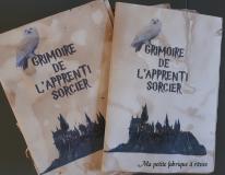 Grimoire de l'apprenti sorcier anniversaire Harry Potter à imprimer gratuitement