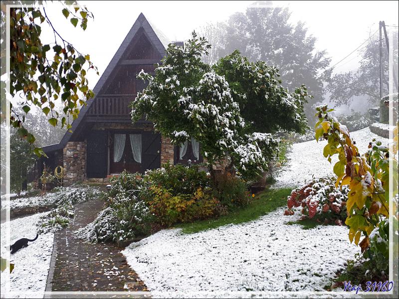 Hier l'été, aujourd'hui, l'hiver : à 600 m d'altitude, ce 28/10/2018 - Lartigau - 31160 - Milhas