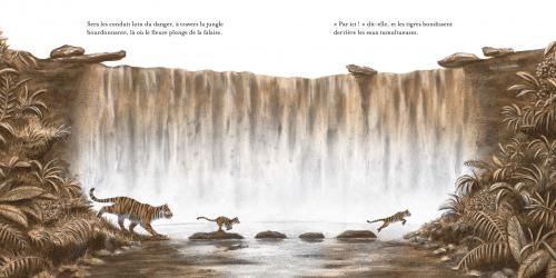 nos nouveautés coups de cœur mai 2019