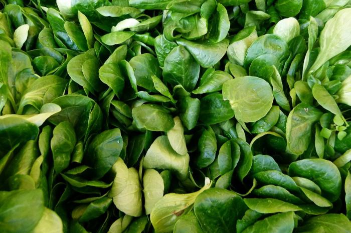 Légumes du mois d'Avril