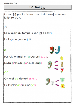 Les sons /g/ et [ʒ]