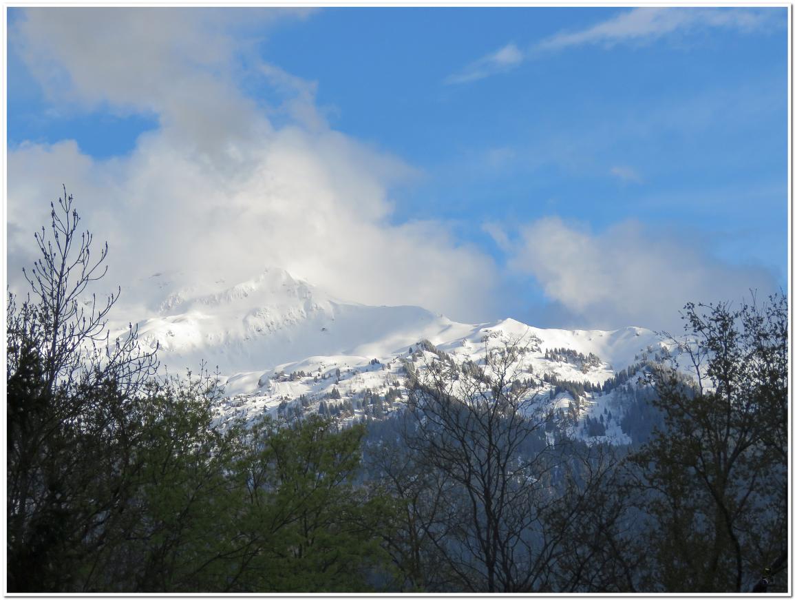  LA DERNIERE NEIGE D'AVRIL 2022